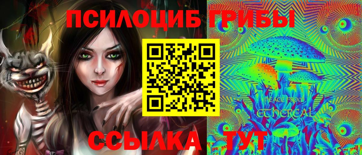 Псилоцибиновые грибы Psilocybe Минусинск