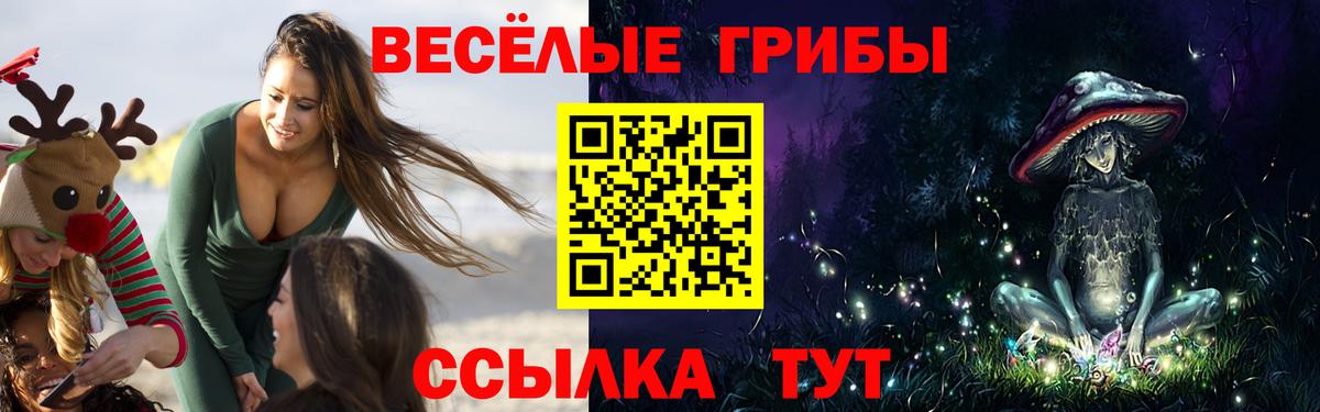 Галлюциногенные грибы мухоморы  наркошоп  Минусинск  Вход с VPN 